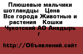 Плюшевые мальчики шотландцы › Цена ­ 500 - Все города Животные и растения » Кошки   . Чукотский АО,Анадырь г.